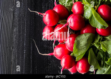 Bio rote Radieschen auf dunklem Holz. Frischem Frühlingsgemüse. Stockfoto
