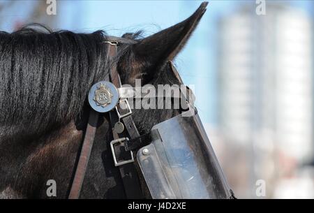 Polizei Pferd SUNDERLAND FC V NEWCASTLE UNITED FC SUNDERLAND FC V NEWCASTLE UTD STADIUM der leichten SUNDERLAND ENGLAND 05 April 20 Stockfoto