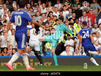 CHELSEA Torhüter THIBAUT COU CHELSEA V SWANSEA CITY STAMFORD BRIDGE Stadion LONDON ENGLAND 8. August 2015 Stockfoto