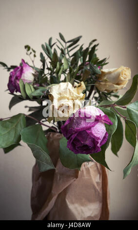 Bouquet von getrockneten roten und weißen Rosen, Closeup vertikale niedrigen Schlüsselfoto über graue Wand Hintergrund, selektiver Weichzeichner Stockfoto
