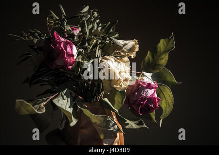 Bouquet von getrockneten roten und weißen Rosen, niedrige Schlüsselfoto Closeup auf dunklem Hintergrund, selektiver Weichzeichner Stockfoto