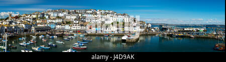 GB - DEVON: Brixham Hafen-panorama Stockfoto