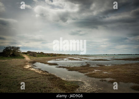 Ebbe im Pagham Hafen Naturreservat in West Sussex, UK Stockfoto