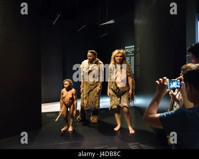 Naturwissenschaft-Ausstellungsfläche. Musée des Confluences, Lyon, Frankreich. Architekt: Coop Himmelb (l) au, 2014. Stockfoto