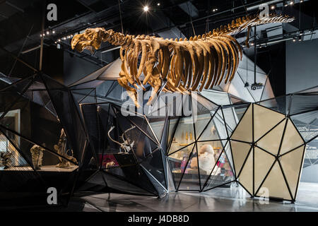 Naturwissenschaft-Ausstellungsfläche. Musée des Confluences, Lyon, Frankreich. Architekt: Coop Himmelb (l) au, 2014. Stockfoto