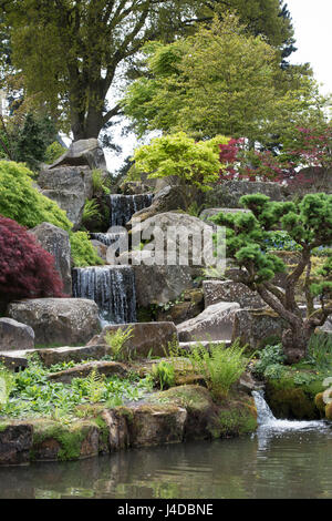 Wasserfall durch den Steingarten Garten RHS Wisley Gardens im April. Surrey, England Stockfoto