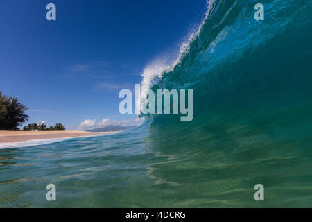 Eine Shorebreak Welle Keiki Beach an der Nordküste von Oahu. Stockfoto