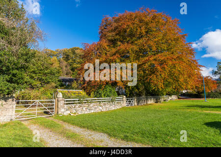 Nether Wasdale, Nationalpark Lake District, Cumbria, England, Vereinigtes Königreich, Europa. Stockfoto