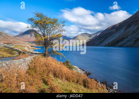 Wast Wasser im Herbst, Nationalpark Lake District, Cumbria, England, Vereinigtes Königreich, Europa. Stockfoto