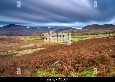 Birker fiel in der Nähe von Beckfoot, Nationalpark Lake District, Cumbria, England, Vereinigtes Königreich, Europa. Stockfoto