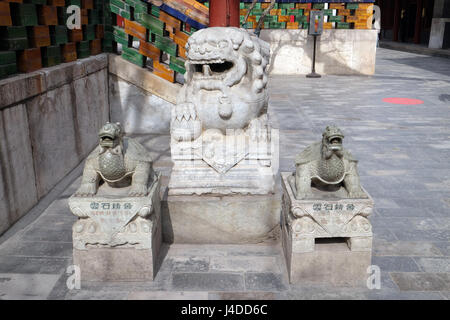 Löwe und Schildkröte Statuen in Yonghe-Tempel Alias Yonghe Lamasery oder einfach Lama-Tempel in Peking, China, Februar 25, 20 Stockfoto