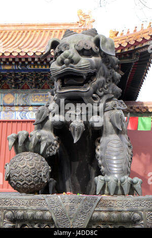 Löwe aus Bronze imperial an der Pforte des Lama Tempel Yonghe Lamasery, Peking, China Stockfoto