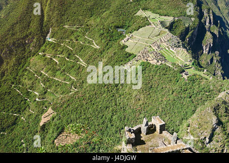 Blick auf Machu Picchu Stadt mit Terrassen im grünen Wald Stockfoto