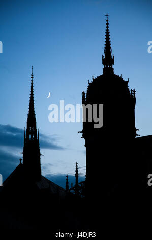 Allerheiligen Kirche in Lutherstadt Wittenberg, Deutschland in der Nacht mit Mondsichel Stockfoto