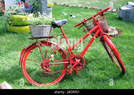 Blumen, Pflanzen, Gartenarbeit und Arrangements, Frühling, Sommer, Kroatien, 27 Stockfoto