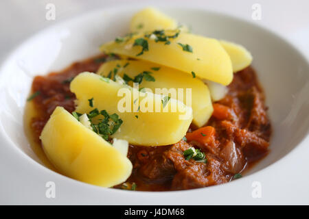 Leckeres Rindergulasch mit Kartoffeln in weißer Teller Stockfoto