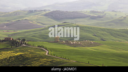 Toskana-Landschaft mit grünen Hügeln, Zypressen, weichen Kurven Stockfoto