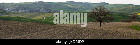 Panoramablick auf der typisch toskanischen Landschaft mit Bäumen, grünen Hügeln und kurvige Straßen Stockfoto