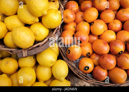 Vitamin reiche Zitrus Früchte-Zitronen und Blutorangen, Stockfoto