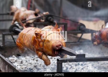 Traditionell Spanferkel auf einer sich drehenden Spieß mit Feuer und Rauch Stockfoto