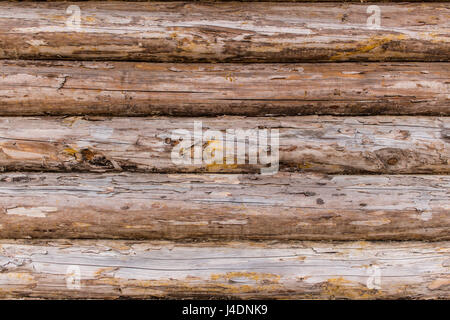 Fragment des rustikalen Holzhauses geknackt Blockwand. Landhaus Log Wand Hintergrundtextur. Stockfoto