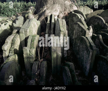 Grabstein in St Pancras Old Church, London, ein Denkmal der junge Thomas Hardy ersonnen, mit Grabsteinen, die strahlenförmig von einem weinenden ash Stockfoto