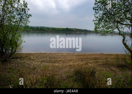 Blackburn, Lancashire, UK. 12. Mai 2017. Dringend benötigte Regen kommt im Norden Englands, wie sehr niedrige Wasserstände an den United Utilities Wayoh Reservoir in der Nähe von Bolton, Lancashire, auffüllen bedürfen. Bild von Paul Heyes, Freitag, 12. Mai 2017. Bildnachweis: Paul Heyes/Alamy Live-Nachrichten Stockfoto