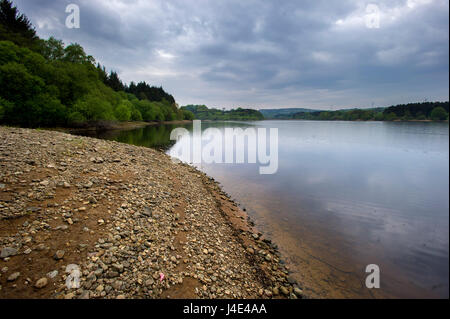 Blackburn, Lancashire, UK. 12. Mai 2017. Dringend benötigte Regen kommt im Norden Englands, wie sehr niedrige Wasserstände an den United Utilities Wayoh Reservoir in der Nähe von Bolton, Lancashire, auffüllen bedürfen. Bild von Paul Heyes, Freitag, 12. Mai 2017. Bildnachweis: Paul Heyes/Alamy Live-Nachrichten Stockfoto