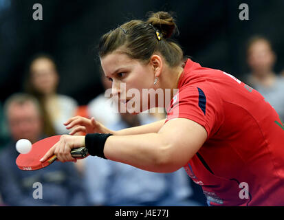 Berlin, Deutschland. 12. Mai 2017. Petrissa Solja TTC Berlin in Aktion während der Frauen Champions League final Runde Tischtennis-match zwischen TTC Berlin und KTS Tarnobrzeg, in Berlin, Deutschland, 12. Mai 2017. Foto: Britta Pedersen/Dpa-Zentralbild/Dpa/Alamy Live News Stockfoto