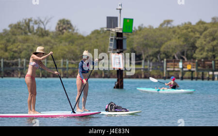 West Palm Beach, Florida, USA. 12. Mai 2017. Paddel-Boarder, Schwimmer, Schnorchler teilen den Intracoastal Waterway nördlich der Jupiter-Leuchtturm. Bootsfahrer Schuld Paddel-Boarder auf ihre Weise. Paddeln Sie Schüler/inen Explosion Bootsfahrer gehen zu schnell. Business-Leute sagen, sie wollen die Umwelt schützen. Politiker kämpfen für einen Kompromiss. Willkommen Sie bei den laufenden Kampf um Boot Geschwindigkeiten auf den Intracoastal Waterway in North Palm Beach County am 12. Mai 2017 zu regulieren. Bildnachweis: Allen Eyestone/The Palm Beach Post/ZUMA Draht/Alamy Live-Nachrichten Stockfoto