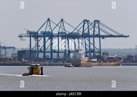 Tilbury Docks, an der Themse in Essex, mit Kränen, Containerschiffen und Schleppern mit einem Lastkahn. PACECO España Krane Stockfoto