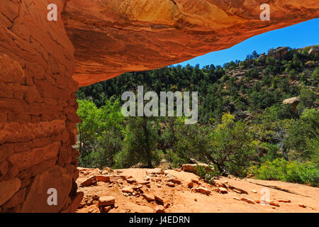 Dieser Blick geht aus dem Haus auf Feuer Ruine in Richtung Mule Canyon im Bären Ohren National Monument, San Juan County, Utah, USA. Stockfoto