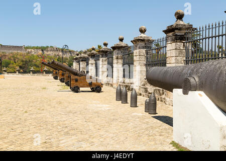 Viele Kanonen im Castillo de San Salvador De La Punta, Havanna, Kuba Stockfoto