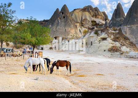 Pferde auf Höhlenwohnungen im Hintergrund Berge. Göreme. Cappadocia. Nevsehir Provinz. Turkei Stockfoto