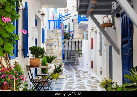 Schmale Straße, weiß getünchten Gebäuden mit blauer Farbe, Blumen, griechische Inseln, Cyclades, Mykonos, Mykonos-Stadt (Chora) Stockfoto