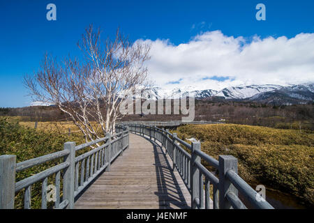 Shiretoko Goko Seen, Shiretoko Nationalpark, UNESCO World Heritage Site, Hokkaido, Japan, Asien Stockfoto