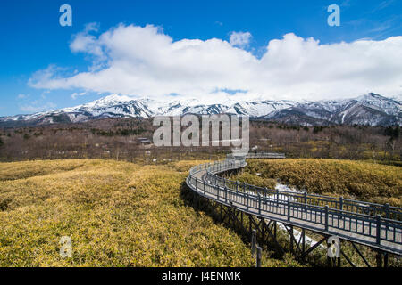 Shiretoko Goko Seen, Shiretoko Nationalpark, UNESCO World Heritage Site, Hokkaido, Japan, Asien Stockfoto