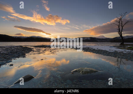 Loch Ard und Ben Lomond in Mitte des Winters, Trossachs, Schottland, Vereinigtes Königreich, Europa Stockfoto