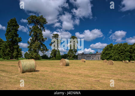 Emo Court, County Laois, Irland Stockfoto