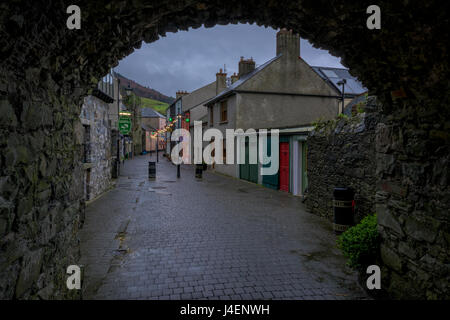 Carlingford, County Louth, Leinster, Irland, Europa Stockfoto