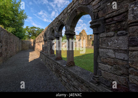 Jerpoint Abbey, Grafschaft Kilkenny, Leinster, Irland, Europa Stockfoto