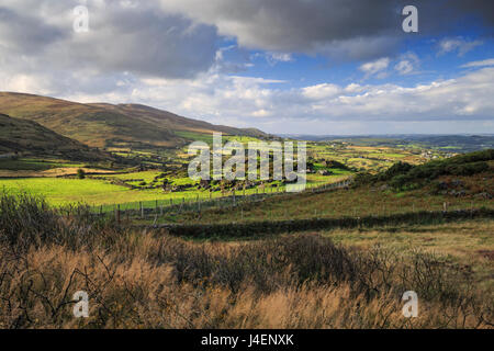 Cooley Mountains, County Louth, Leinster, Irland, Europa Stockfoto