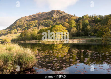 Frühlingsmorgen auf Rydal Wasser im Lake District, Cumbria, England UK Stockfoto