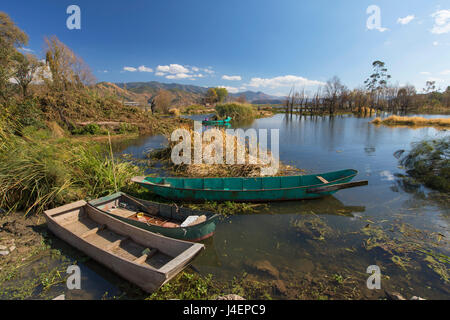 Angelboote/Fischerboote auf Erhai See, Shuanglang, Yunnan, China, Asien Stockfoto