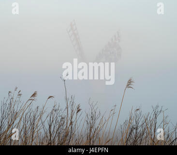 Thurne Mill angesehen, durch den Nebel am Thurne, Norfolk, England, Vereinigtes Königreich, Europa Stockfoto