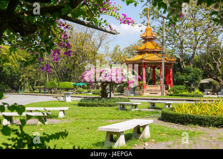 Lumphini-Park, Ratchadamri Road, Bangkok, Thailand, Südostasien, Asien Stockfoto