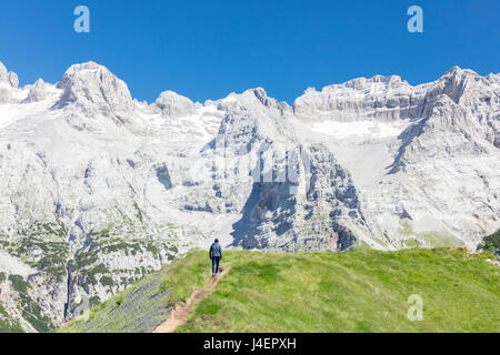 Wanderer geht auf dem Weg zu den felsigen Gipfeln, Doss Del Sabion, Pinzolo, Brenta Dolomiten, Trentino-Alto Adige, Italien, Europa Stockfoto
