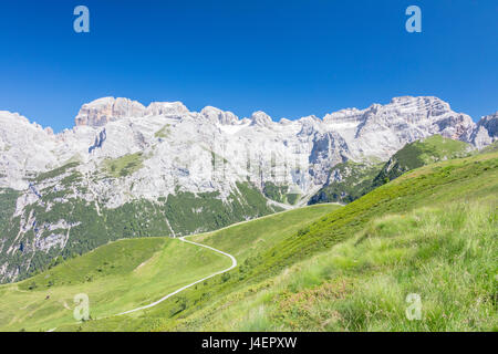 Grüne Wiesen umrahmen die hohen felsigen Gipfeln, Doss Del Sabion, Pinzolo, Brenta Dolomiten, Trentino-Alto Adige, Italien, Europa Stockfoto