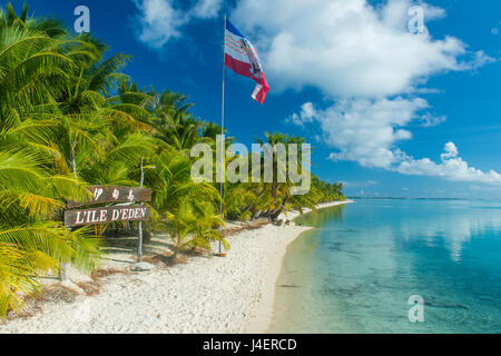 Schöne Palmen gesäumten weißen Sandstrand in das türkisfarbene Wasser des Pazifik, Französisch-Polynesien, Tuamotus, Tikehau Stockfoto