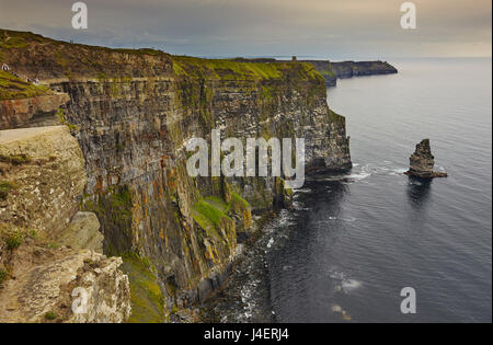 Die Cliffs of Moher, in der Nähe von Lahinch, County Clare, Munster, Irland, Europa Stockfoto